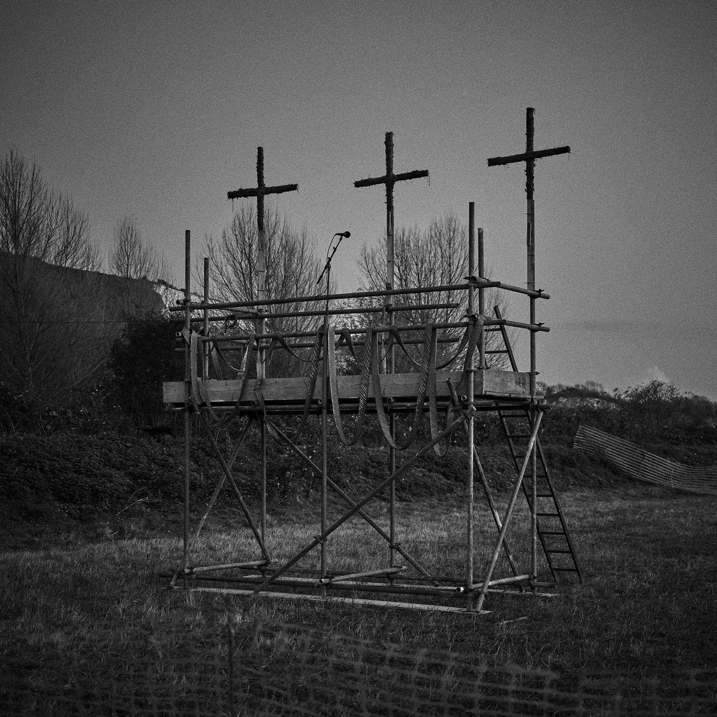 Apiary, Robin Friend