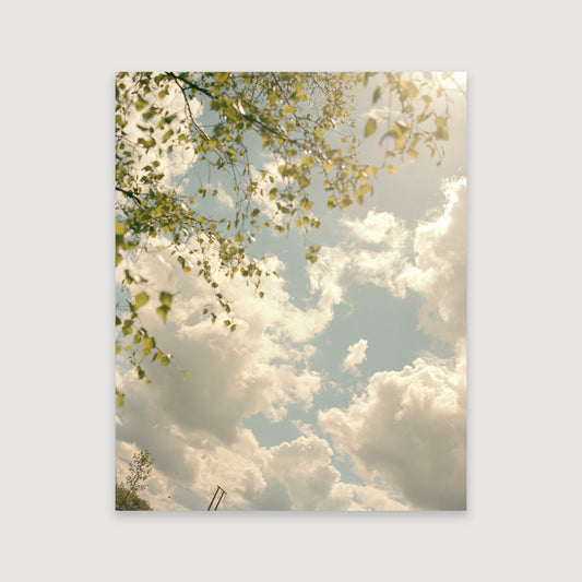 Thomas Duffield, Poppy Promises, Summer Sky