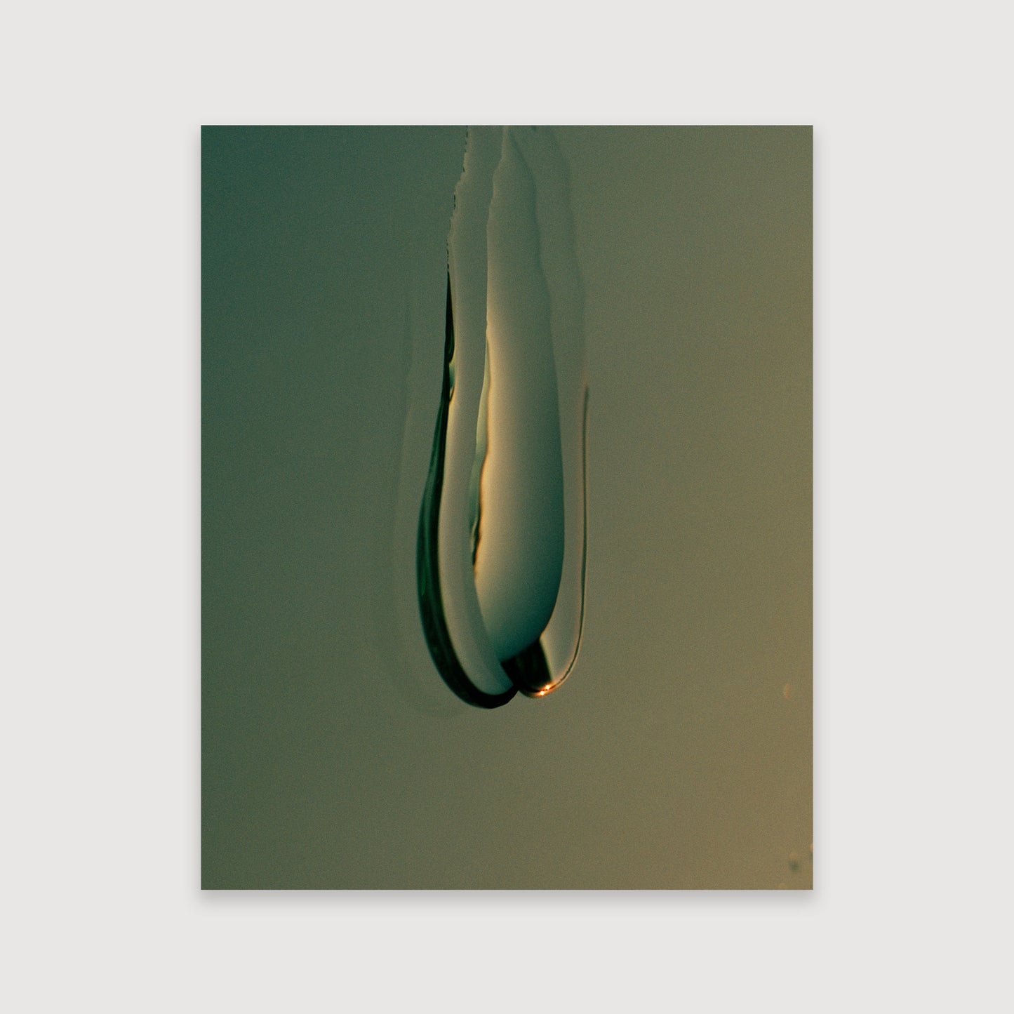 Thomas Duffield, Poppy Promises, Teardrop