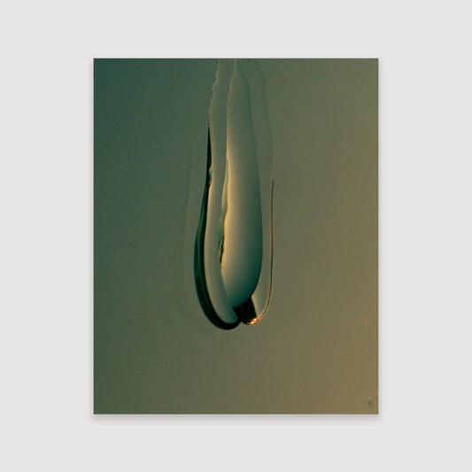 Thomas Duffield, Poppy Promises, Teardrop