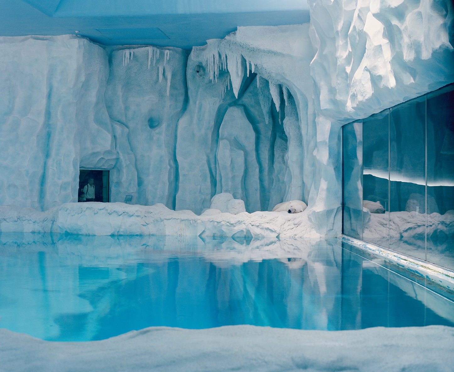 The Anthropocene Illusion, Zed Nelson