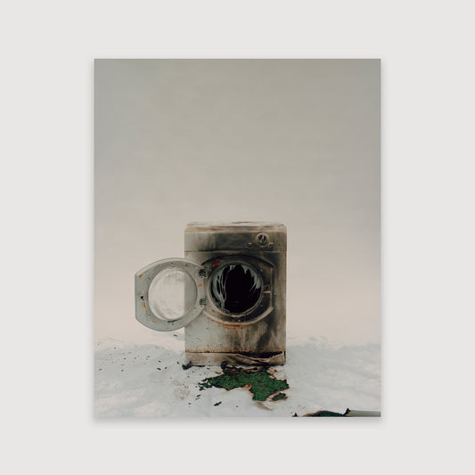 Thomas Duffield, Poppy Promises, Washing Machine #5