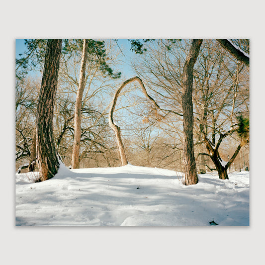 Scott Rossi, Common Place, Untitled #03, Central Park